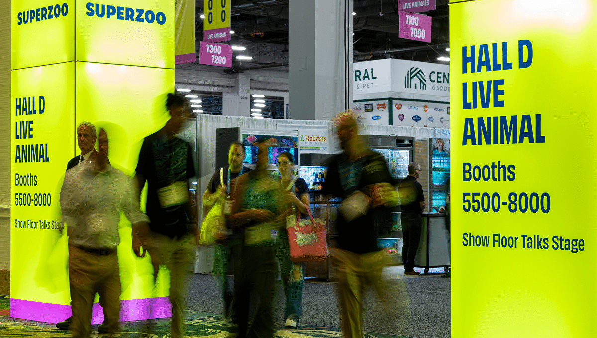 Freeman Launches New Lighted Towers to Elevate Event Environments
